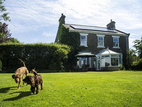 Dowfold House Bed And Breakfast Crook  Esterno foto